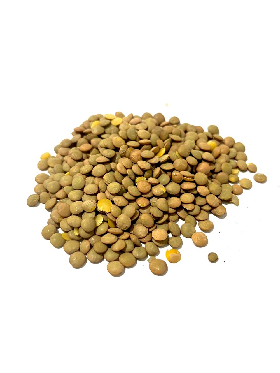 imagem do produto LENTILHA CANADENSE VERDE