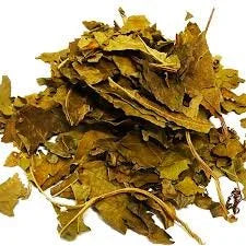 imagem do produto MARACUJÁ EM FOLHAS