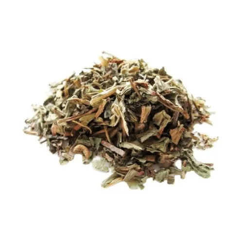 imagem do produto DENTE DE LEÃO