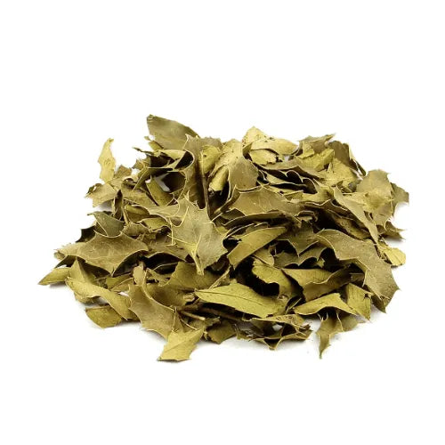 imagem do produto ESPINHEIRA SANTA