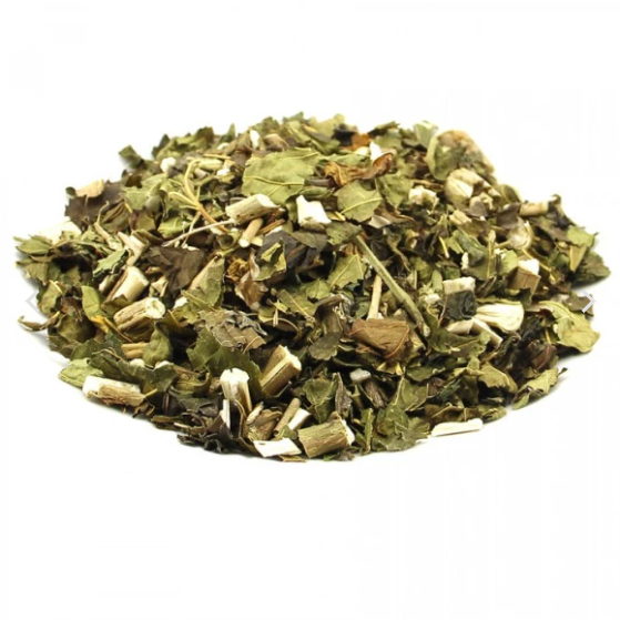 imagem do produto FOLHA DE AMORA BRANCA