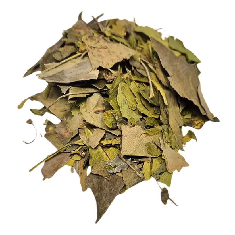 imagem do produto GINKGO BILOBA EM FOLHAS