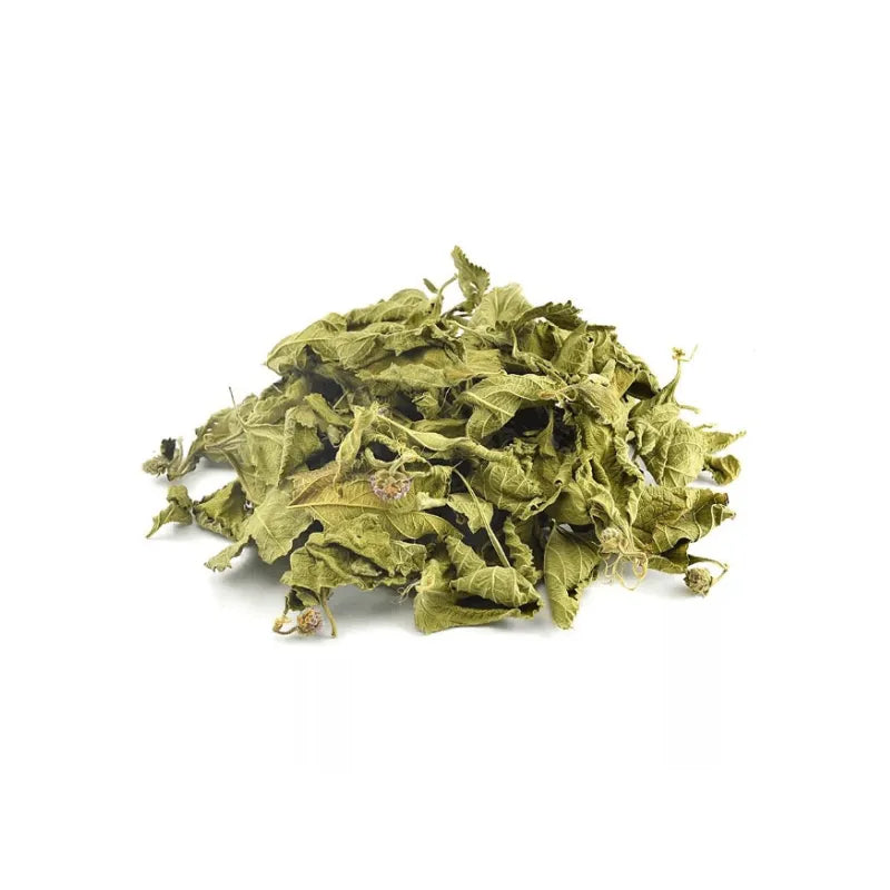 imagem do produto MELISSA LIPIA